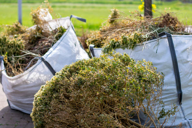 Best Household Junk Removal  in Ballard, UT
